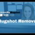 Mugshot Removal Services
